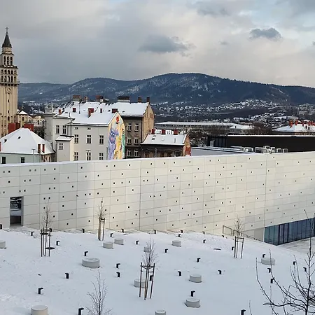 Gray Bielsko-Biala