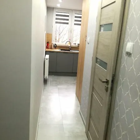 Apartment Gray
